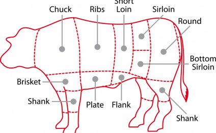 Beef cuts diagram