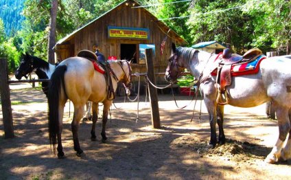 Coffee Creek Ranch