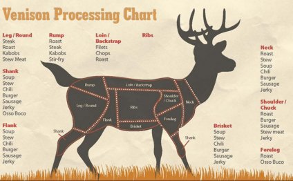 Deer Processing