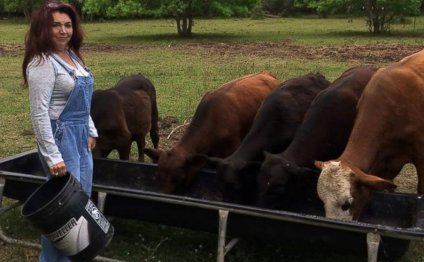 Texas Couple Gives Up Cattle