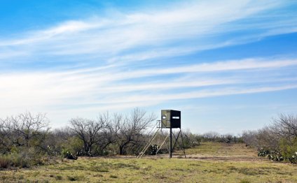 Hunting Ranch in Tilden, TX