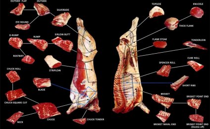 Steak cuts in Houston meat