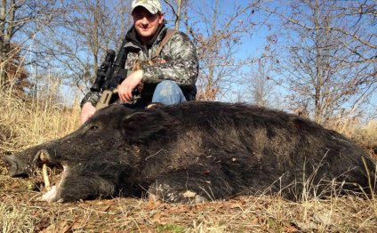 Hog Hunting