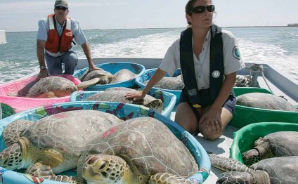 Coastal Fisheries