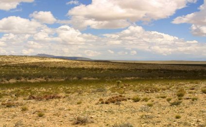 Beautiful Texas Ranch Land