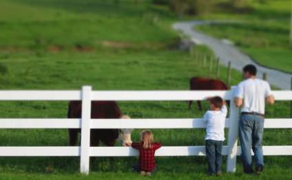 Myer Springdell Farm