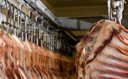 Doors, Meat Lockers