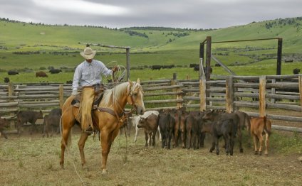 Texas ranches Gallery