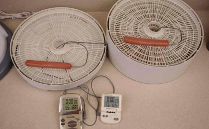 The Best Dehydrator for Making