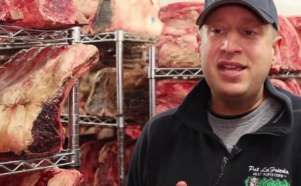 The Myth Of Grass Fed Beef