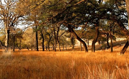 Texas Hill Country Ranches