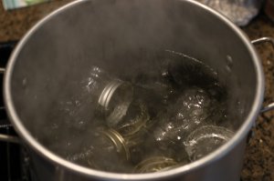 Boil your cleaned jars to kill any germs.