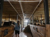 Bull barn