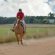 Horse Ranches in Texas