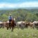 Ranching in Texas