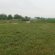 Texas Farm and Ranch Realty