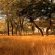 Texas Hill Country Ranches