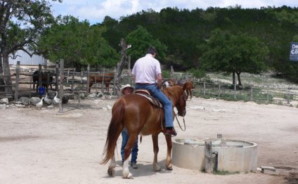 Guest Ranches In Texas