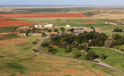 Largest cattle Ranch in Texas