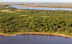 King Ranch South Texas