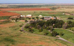 Largest cattle Ranch in Texas