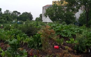 Organic Farms Near Houston