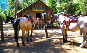 Prade Ranch Texas