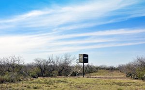 South Texas Hunting Ranches