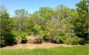 Texas Land and Ranch