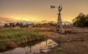 Texas Ranch Life (Chappell Hill)