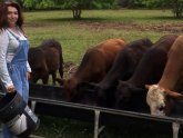 Cattle Farms in Texas