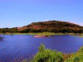 Exotic Hunting Ranch in Texas