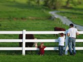 Grass-fed pasture raised beef