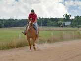 Horse Ranches in Texas