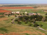 Largest cattle Ranch in Texas