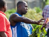 Organic Farms Houston