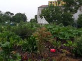 Organic Farms Near Houston