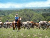 Ranching in Texas