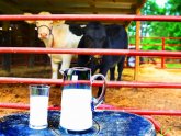 Raw milk Houston