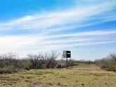 South Texas Hunting Ranches