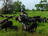 Texas Farm Pork