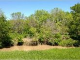 Texas Land and Ranch