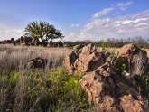 Whitetail Deer Ranch in Texas