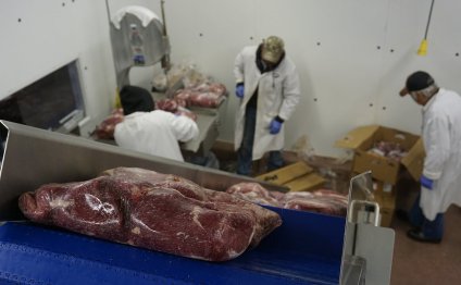 Meat Suppliers in Texas